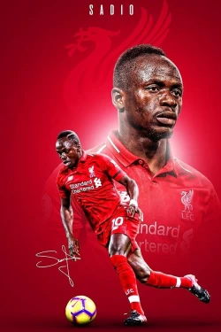 Furnato | Beautiful Poster of Sadio Mane | PSF6 | Adhesive Poster | 12 Inch 18 Inch