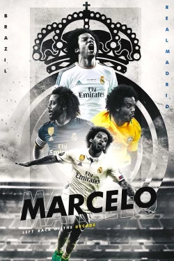 Furnato | Beautiful Poster of Marcelo | PSF28 | Adhesive Poster | 12 Inch X 18 Inch