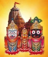 Furnato | Beautiful Poster of Jai Jagannatha | P148 | Adhesive Poster | 12 Inch X 14 Inch