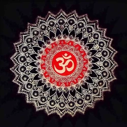 Furnato | Beautiful Poster of Om | P151 | Adhesive Poster | 12 Inch X 12 Inch