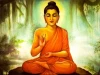 Furnato | Beautiful Poster of Buddha | P168 | Adhesive Poster | 16 Inch X 12 Inch