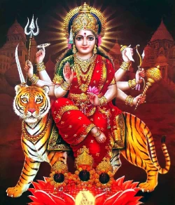 Furnato | Beautiful Poster of Sherawali Maa | P175 | Adhesive Poster | 12 Inch X 14 Inch