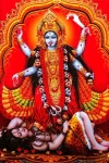 Furnato | Beautiful Poster of Maa Kali | P176 | Adhesive Poster | 12 Inch X 18 Inch