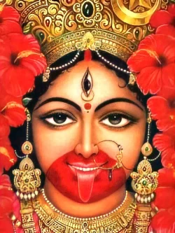 Furnato | Beautiful Poster of Maa Tara | P193 | Adhesive Poster | 12 Inch X 16 Inch